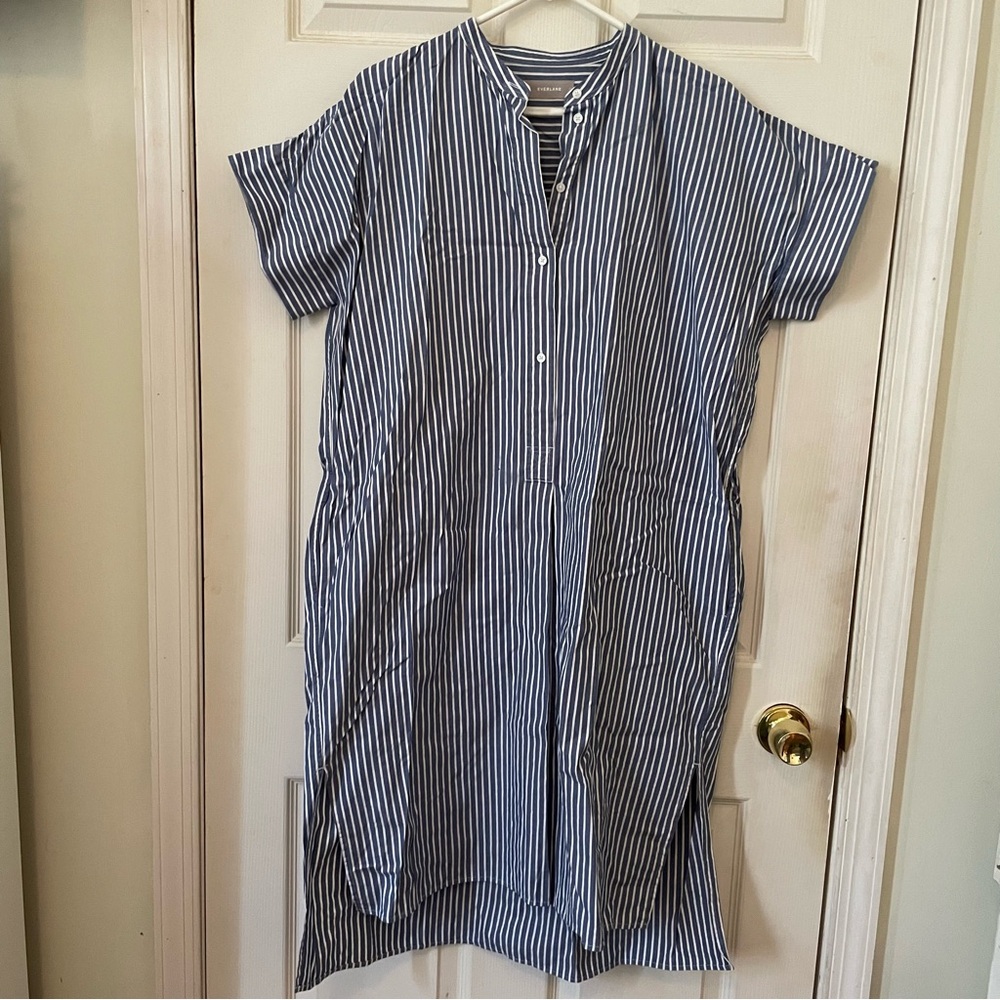 Everlane Striped Shirtdress